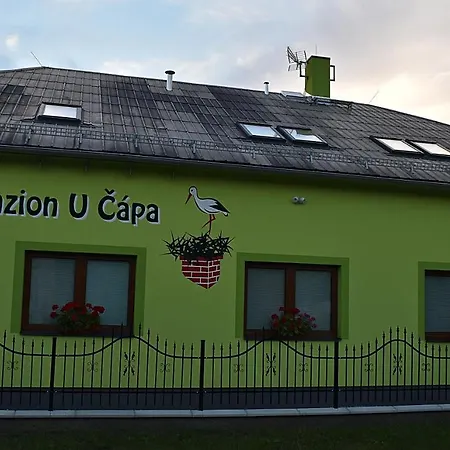 U Capa